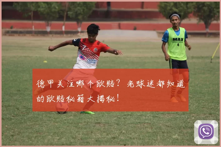 德甲关注哪个欧赔？老球迷都知道的欧赔秘籍大揭秘！