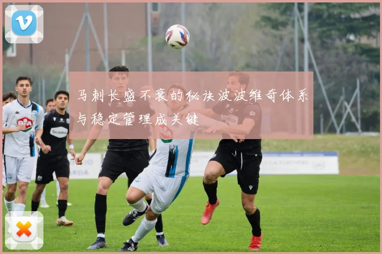 马刺长盛不衰的秘诀波波维奇体系与稳定管理成关键