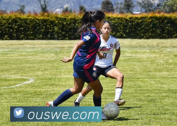 kaiyun「中国大陆」云开·门户网站 - 官方网站|登录入口品牌故事